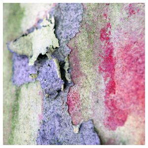 Photo_Paris_Couleurs_1397