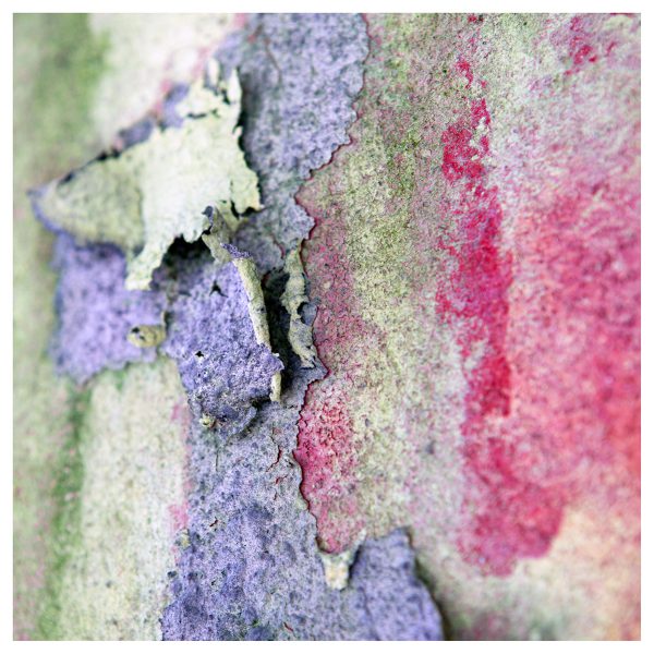 Photo_Paris_Couleurs_1397
