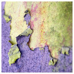 Photo_Paris_Couleurs_1399