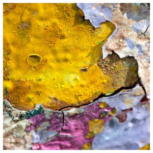 Photo_Paris_Couleurs_637